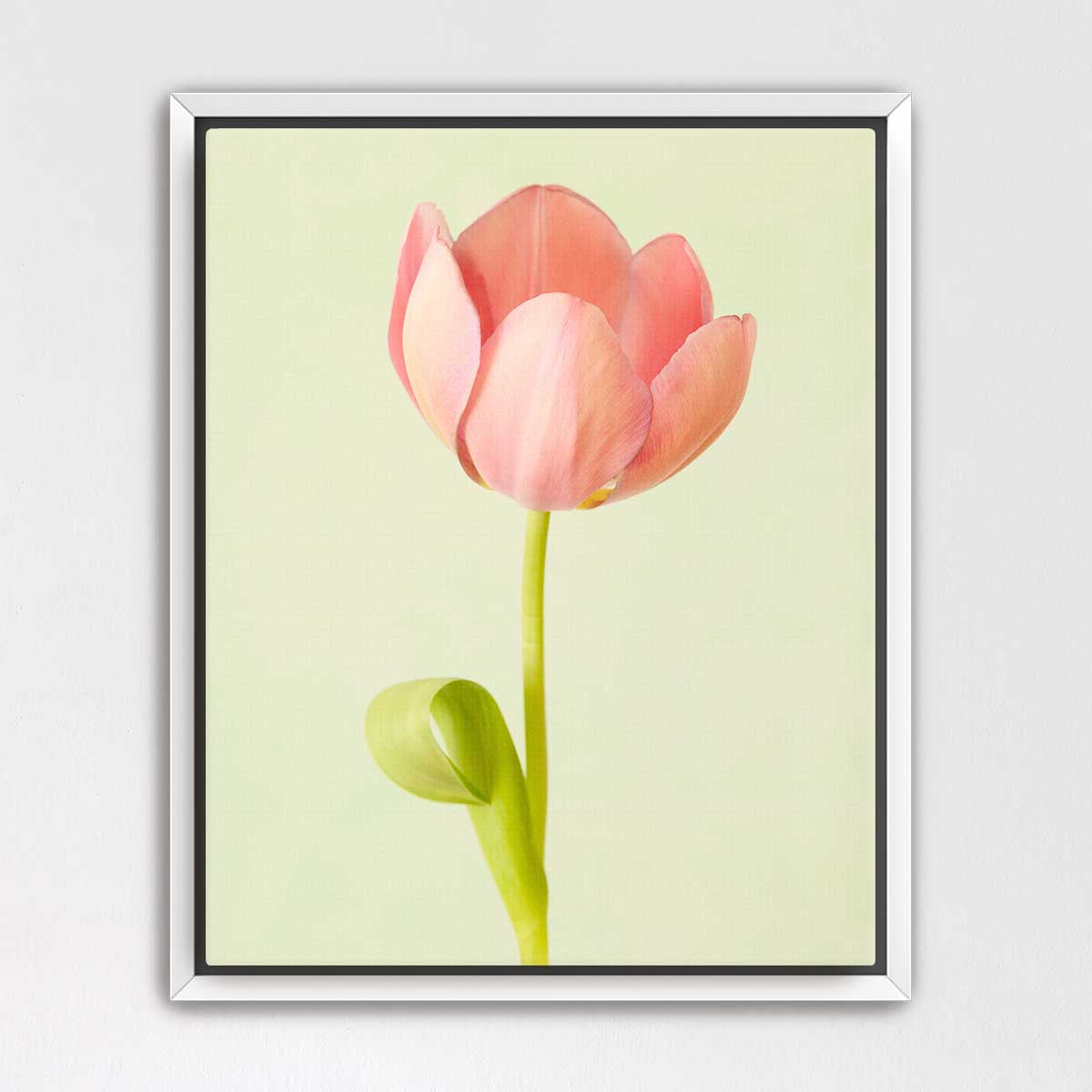 Petals Of Spring 4
