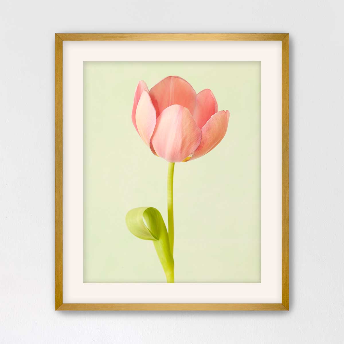 Petals Of Spring 4