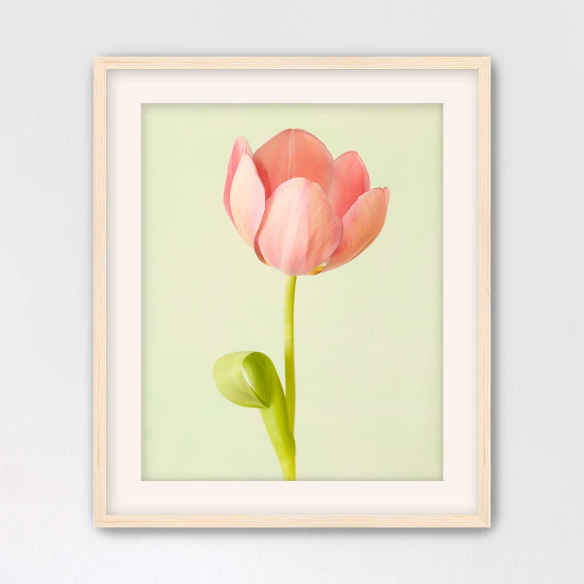 Petals Of Spring 4