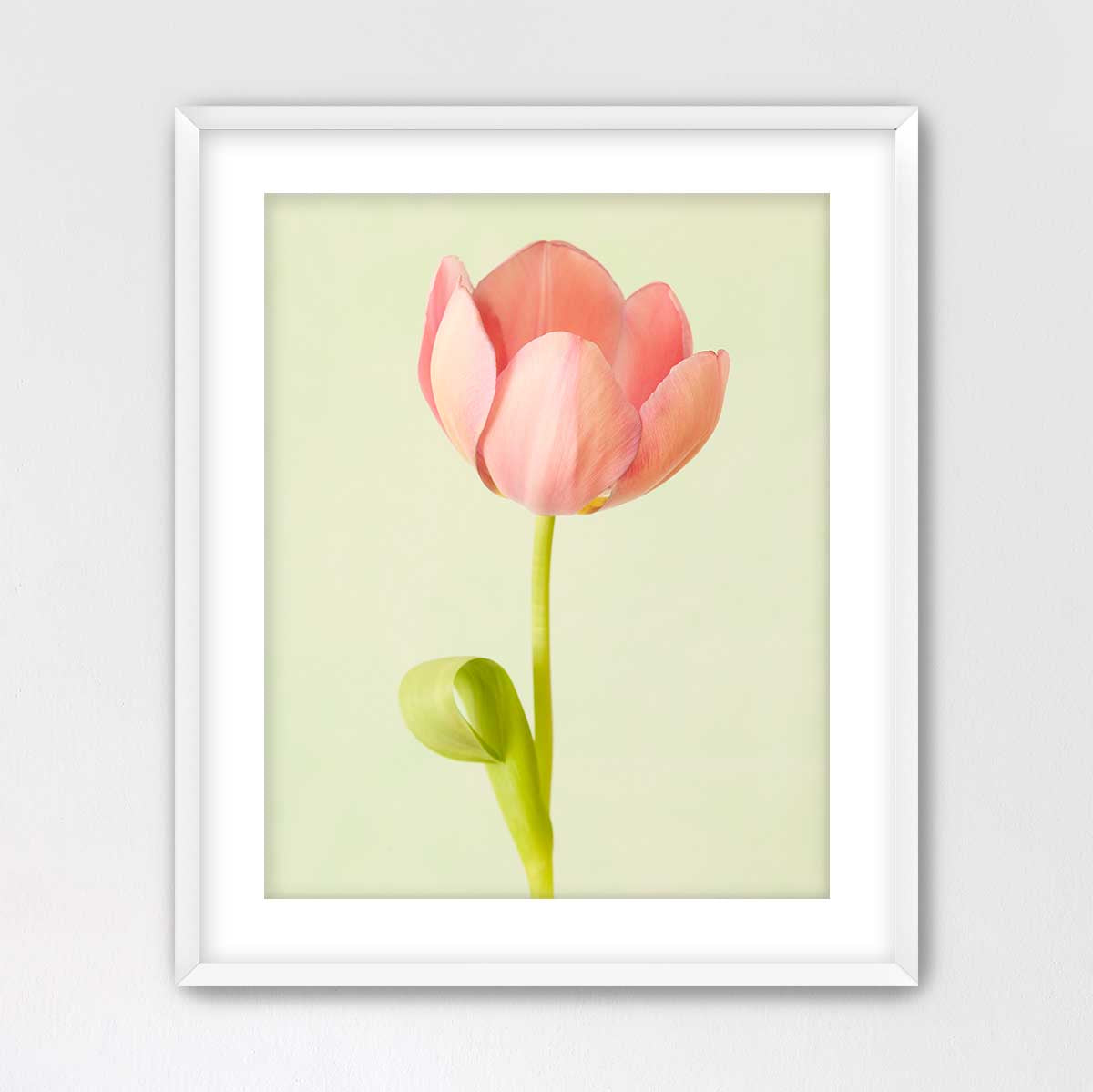 Petals Of Spring 4
