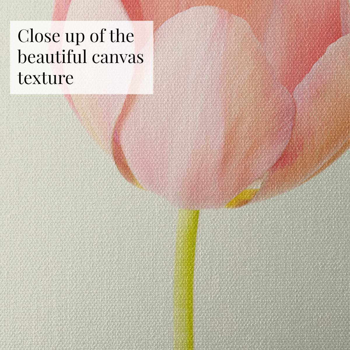 Petals Of Spring 4