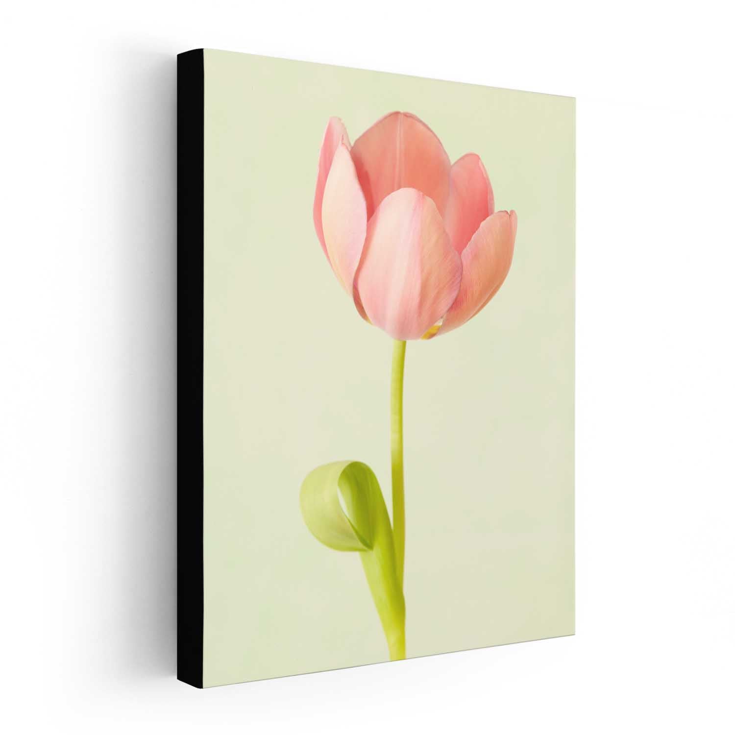 Petals Of Spring 4