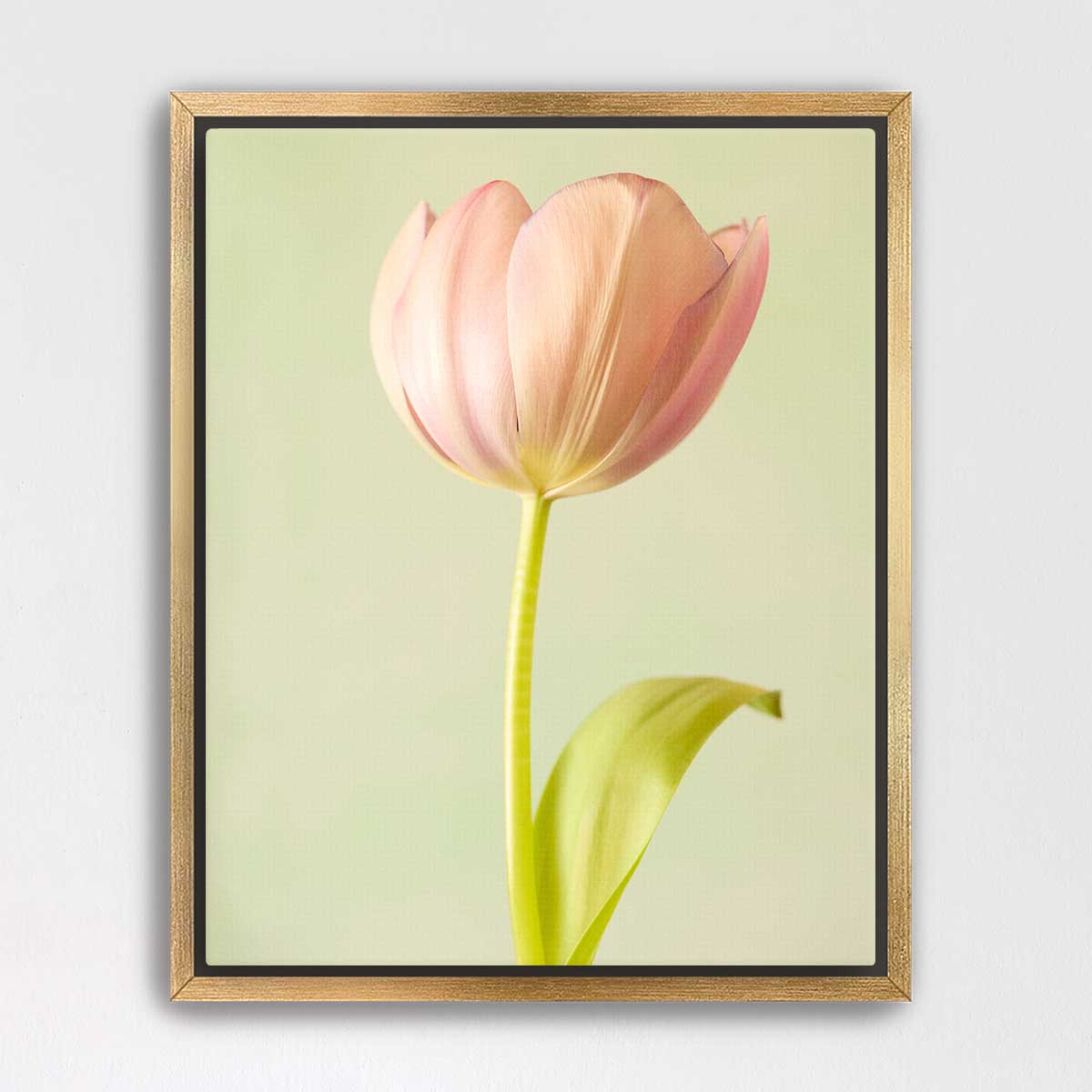 Petals Of Spring 5