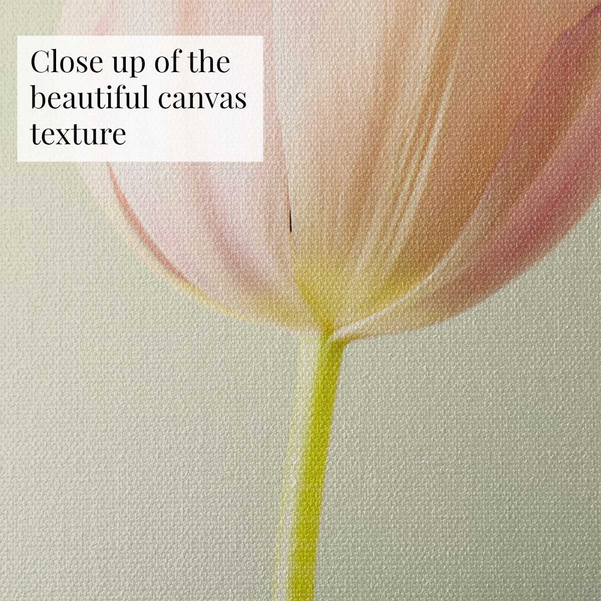 Petals Of Spring 5