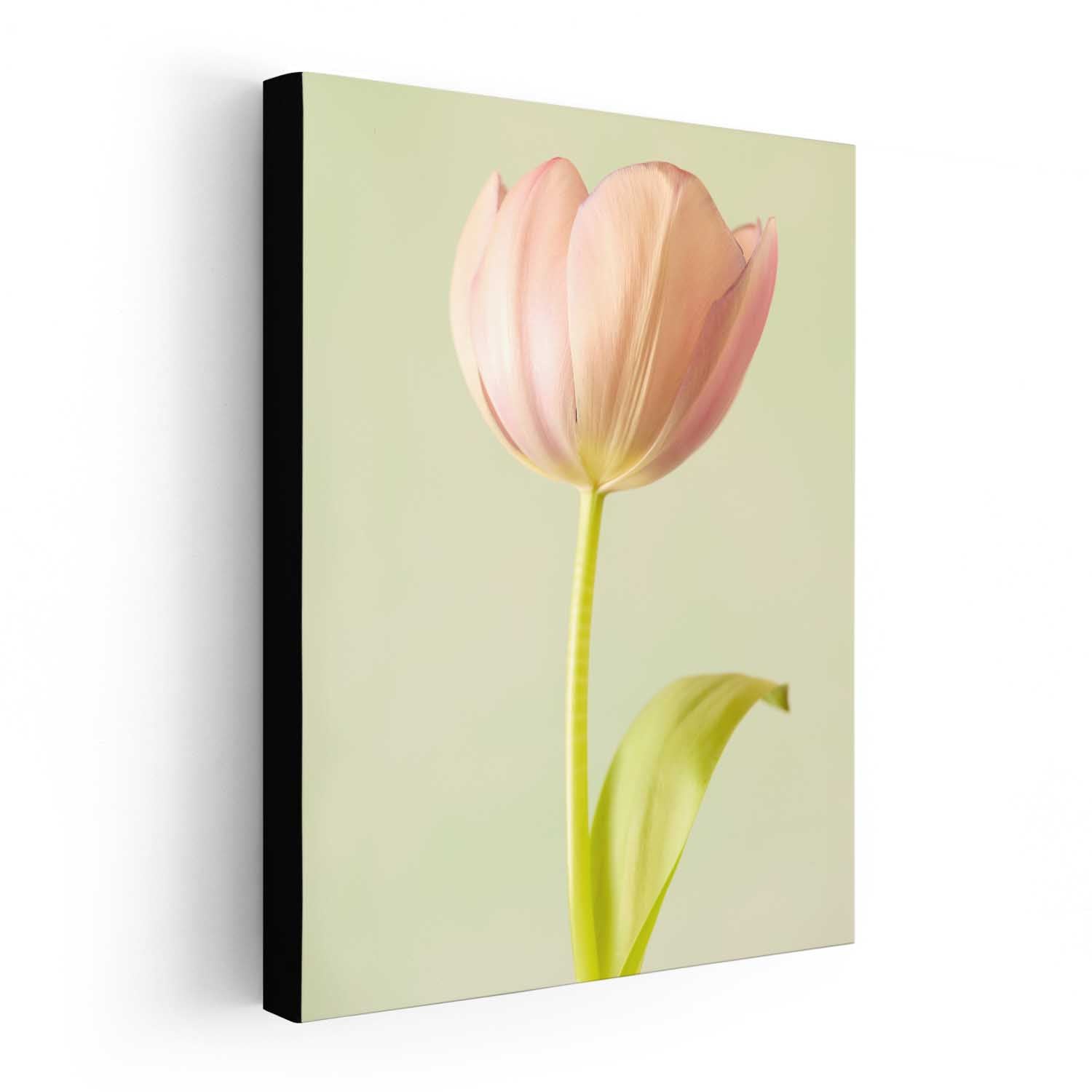 Petals Of Spring 5