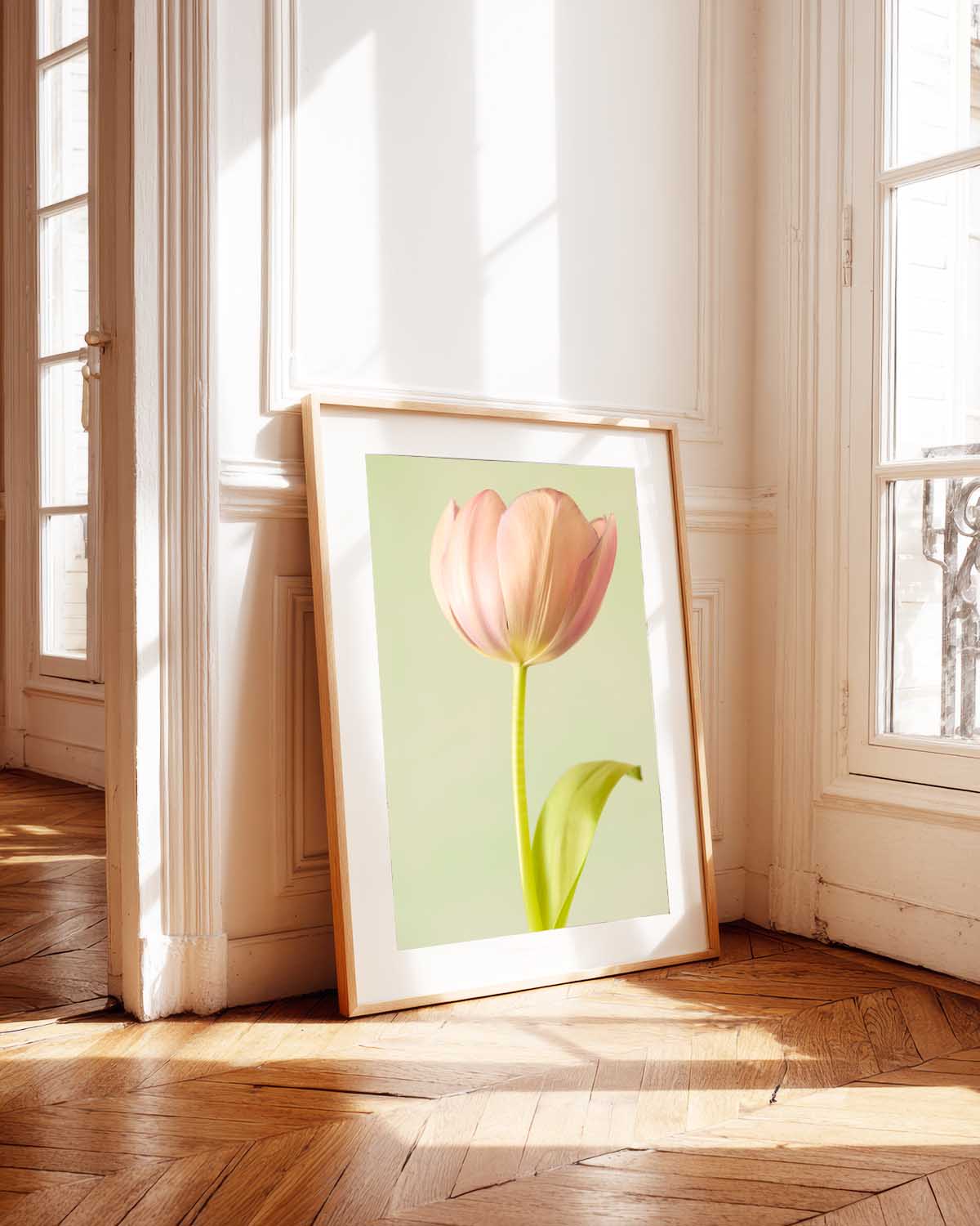 Petals Of Spring 5