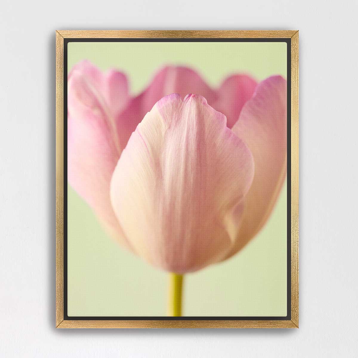 Petals Of Spring 6
