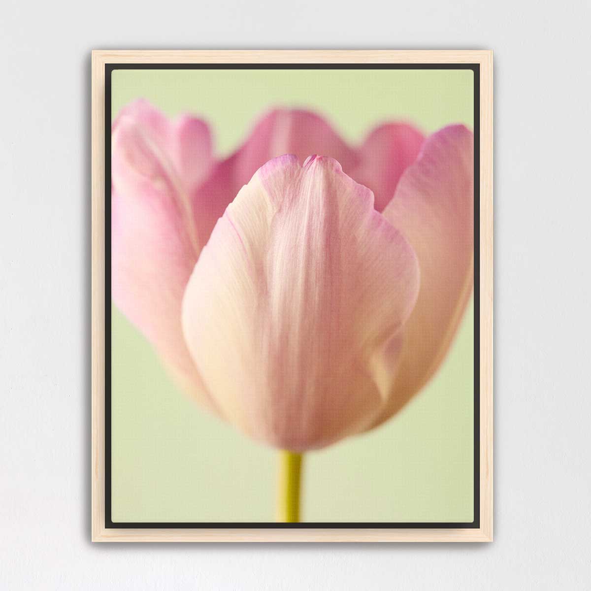 Petals Of Spring 6