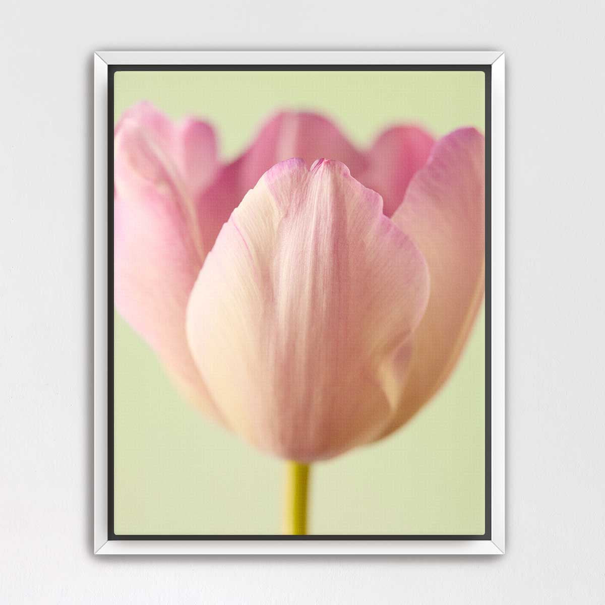 Petals Of Spring 6