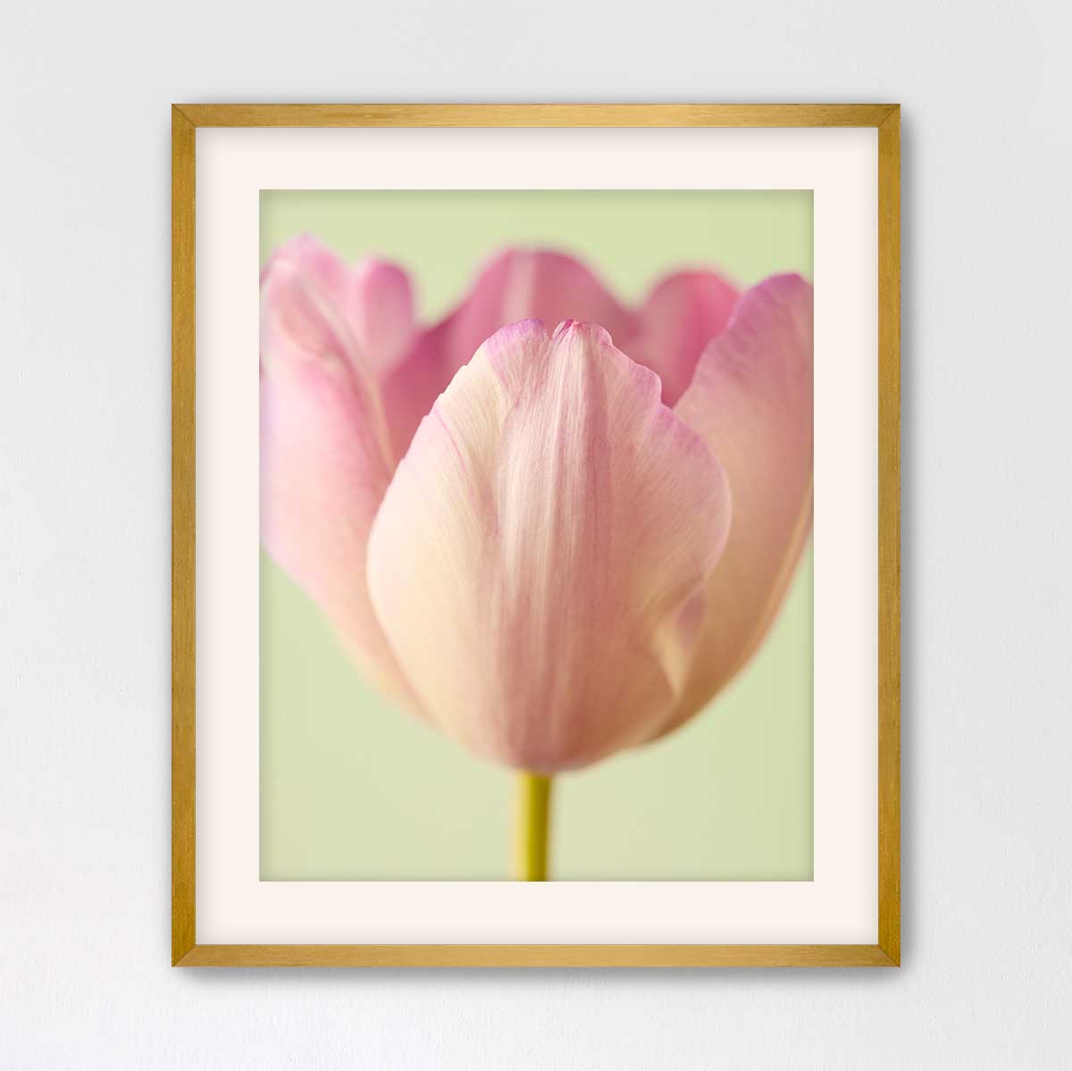 Petals Of Spring 6