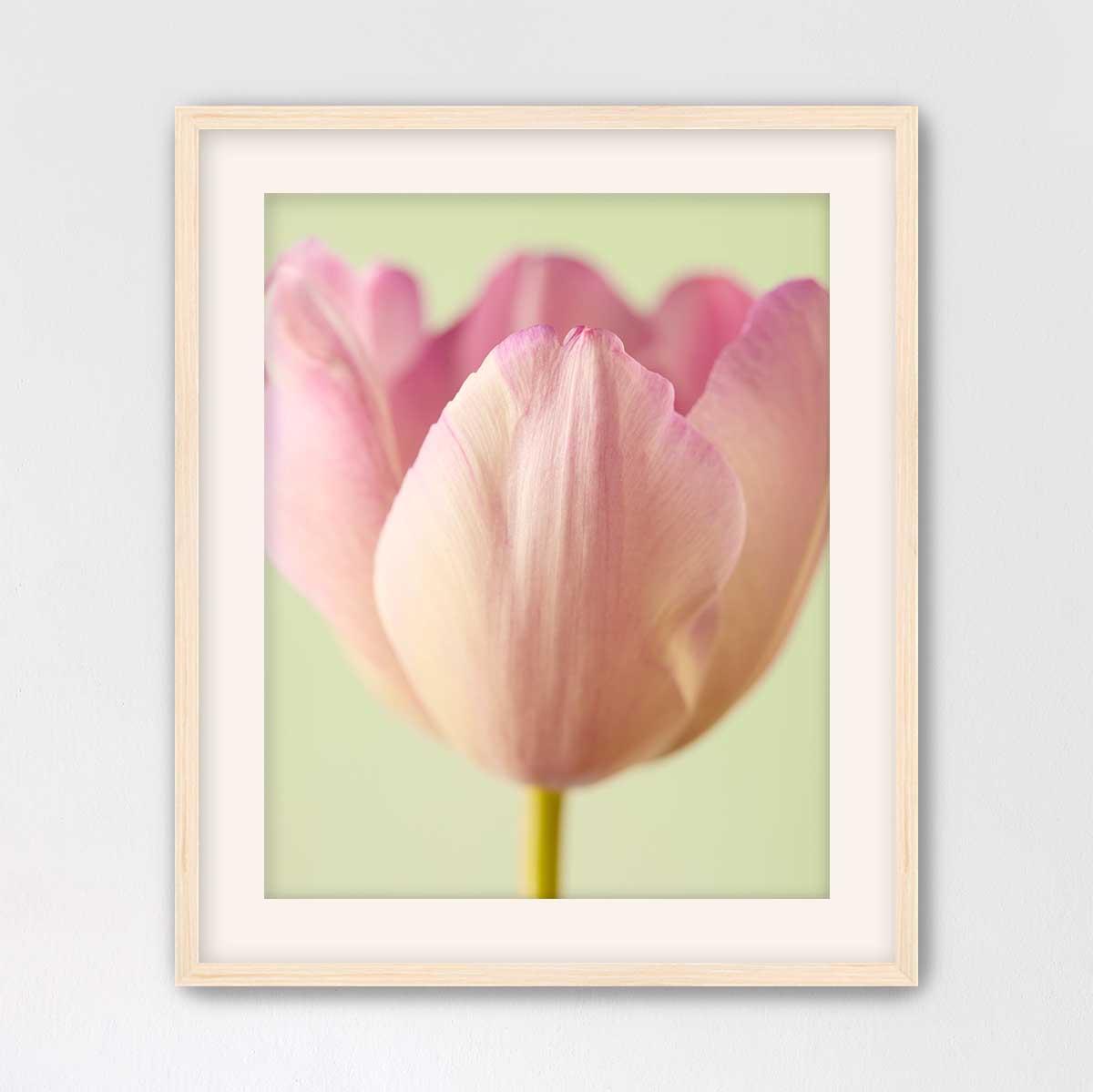 Petals Of Spring 6