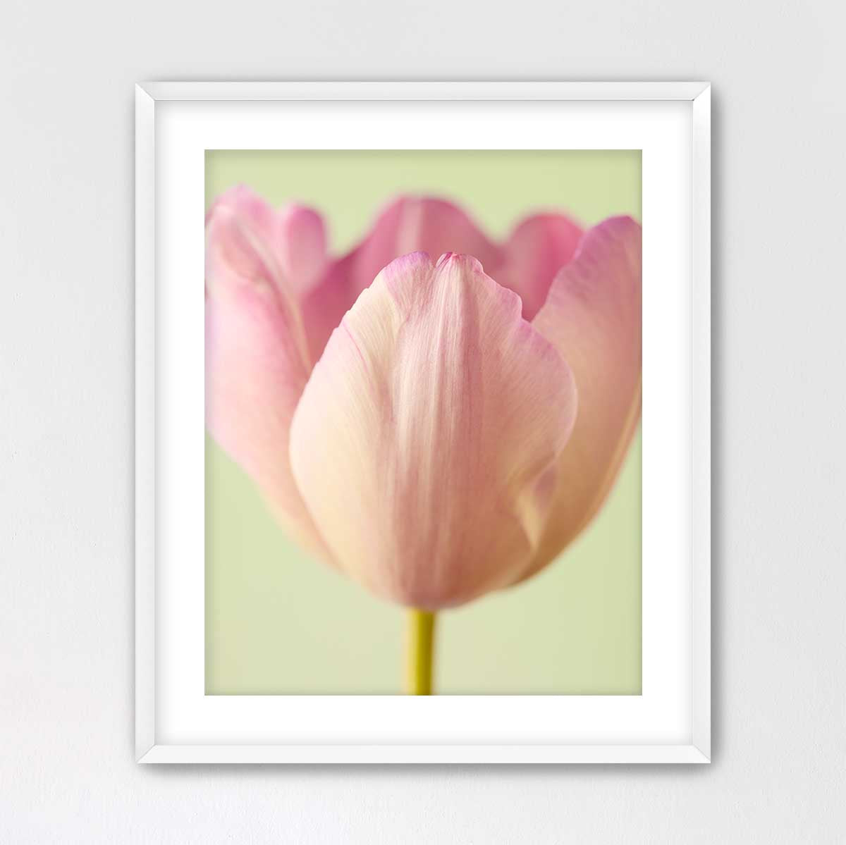 Petals Of Spring 6