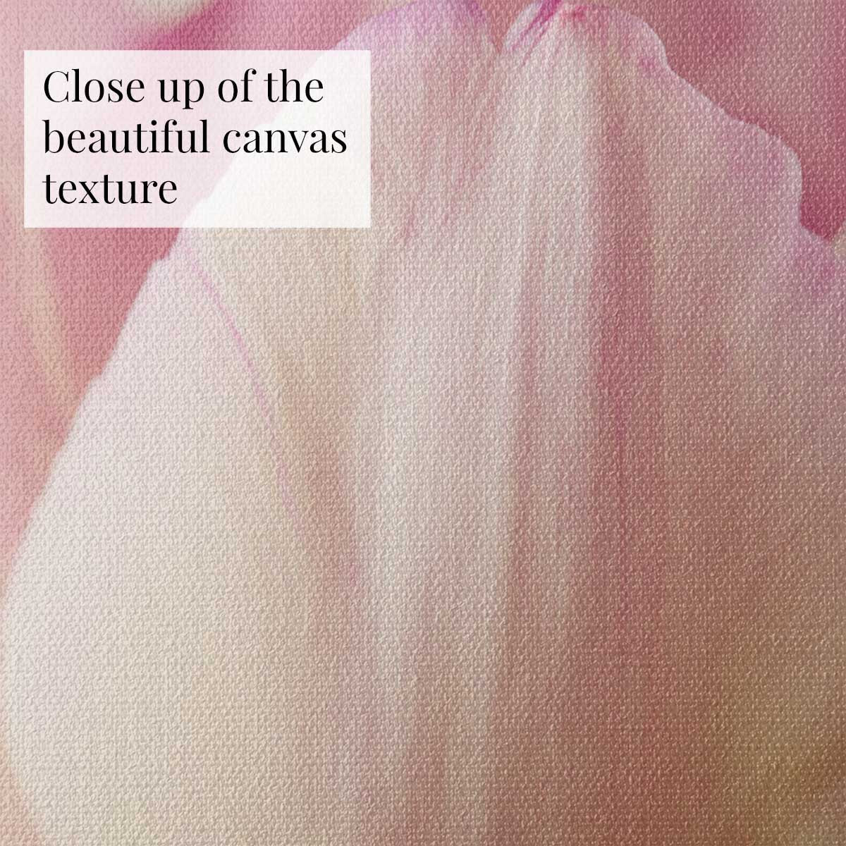 Petals Of Spring 6