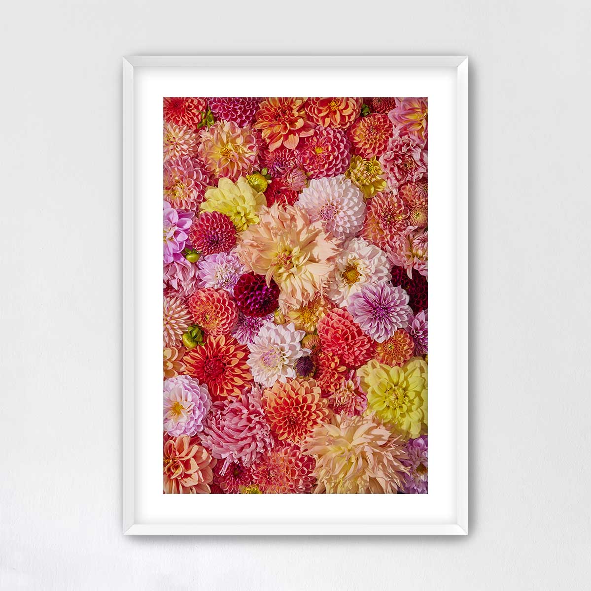The image is a vibrant collage of various colorful flowers, including dahlias, peonies, and other blooms, arranged in a visually appealing manner.