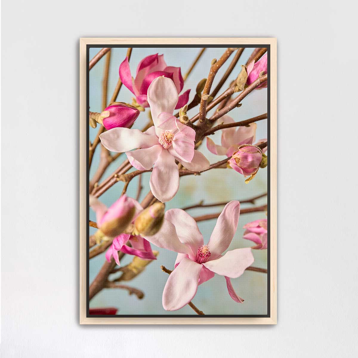 Magnolia Duet
