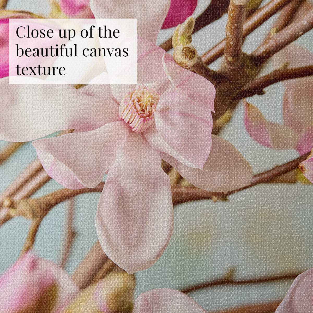 Magnolia Duet