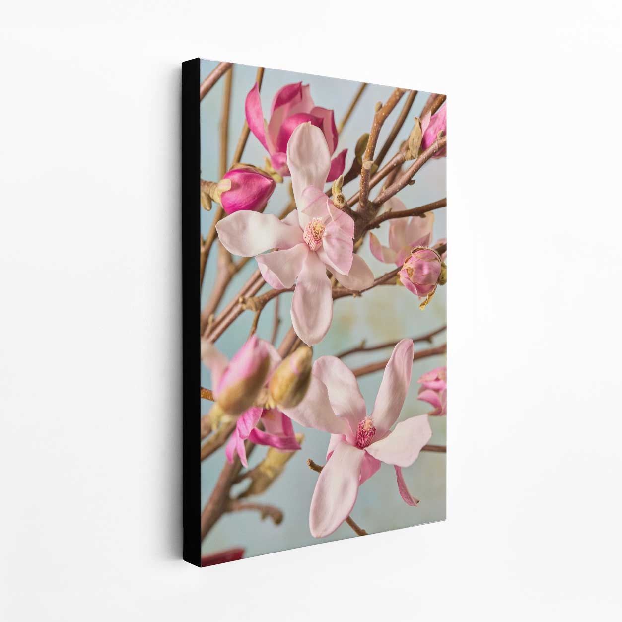Magnolia Duet
