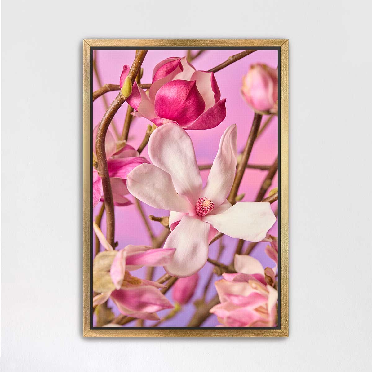 Magnolia Muse