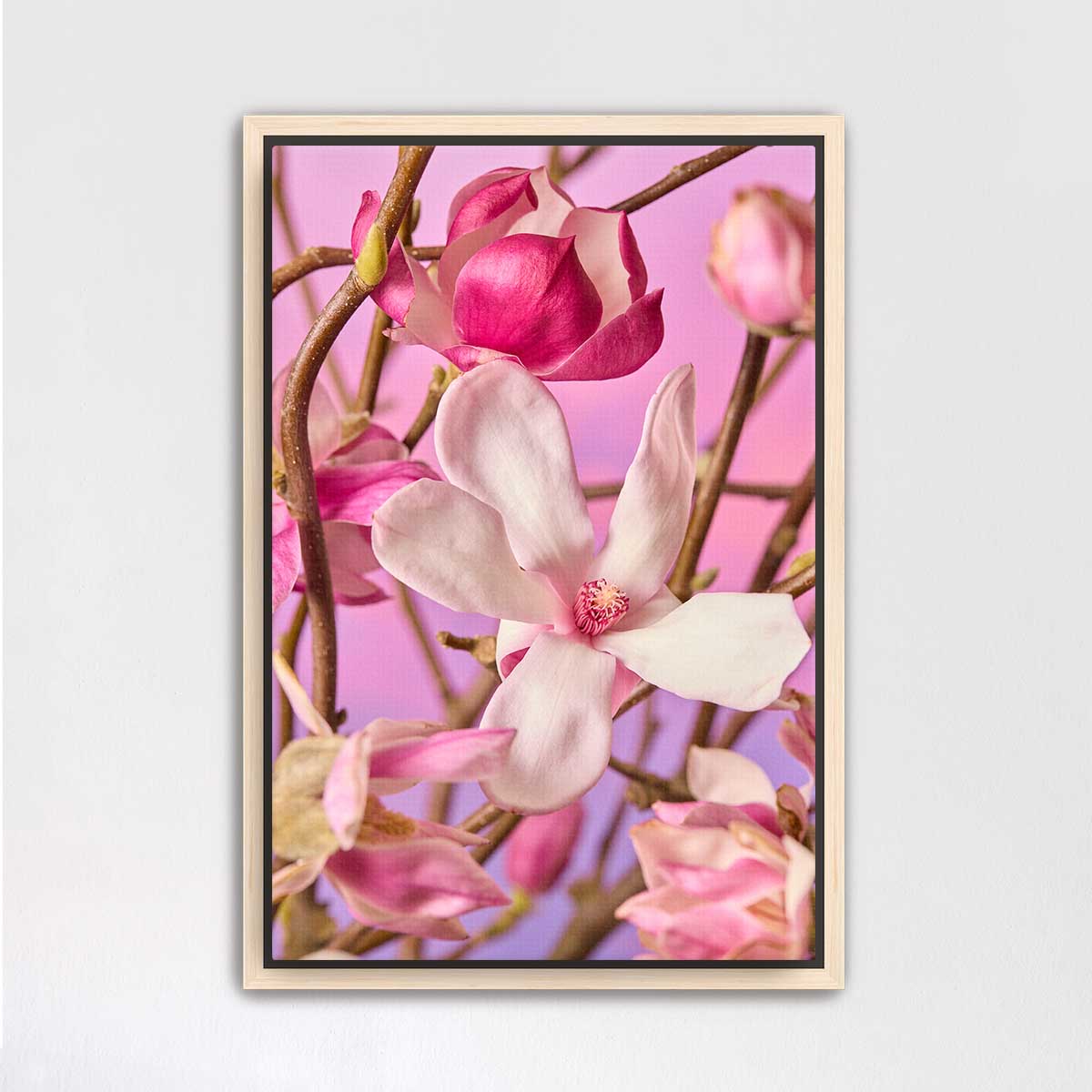 Magnolia Muse