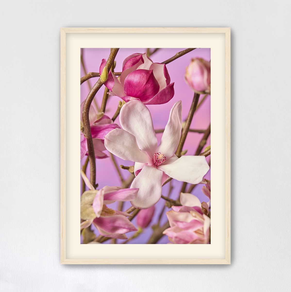 Magnolia Muse