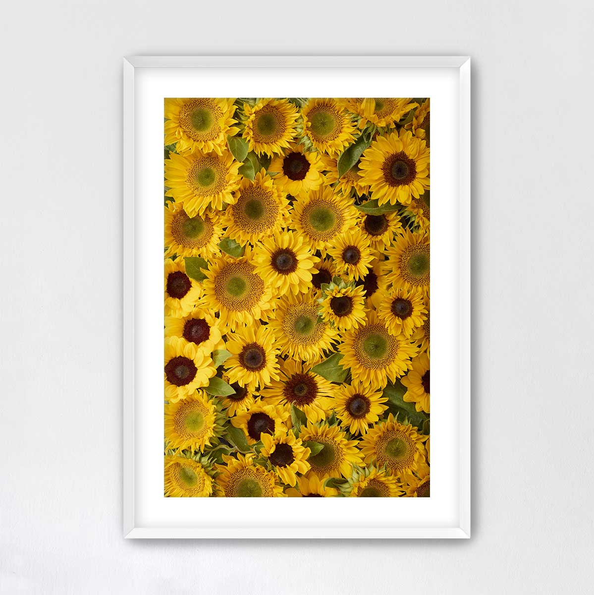 The image is a framed photograph of a large number of yellow sunflowers with green centers, arranged in a visually appealing pattern.