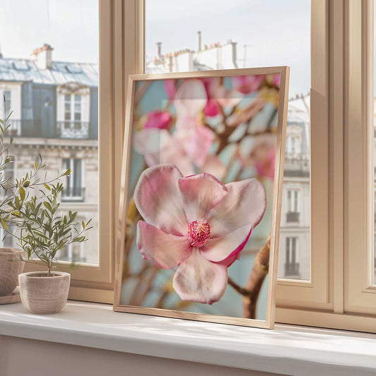 Gentle Radiance