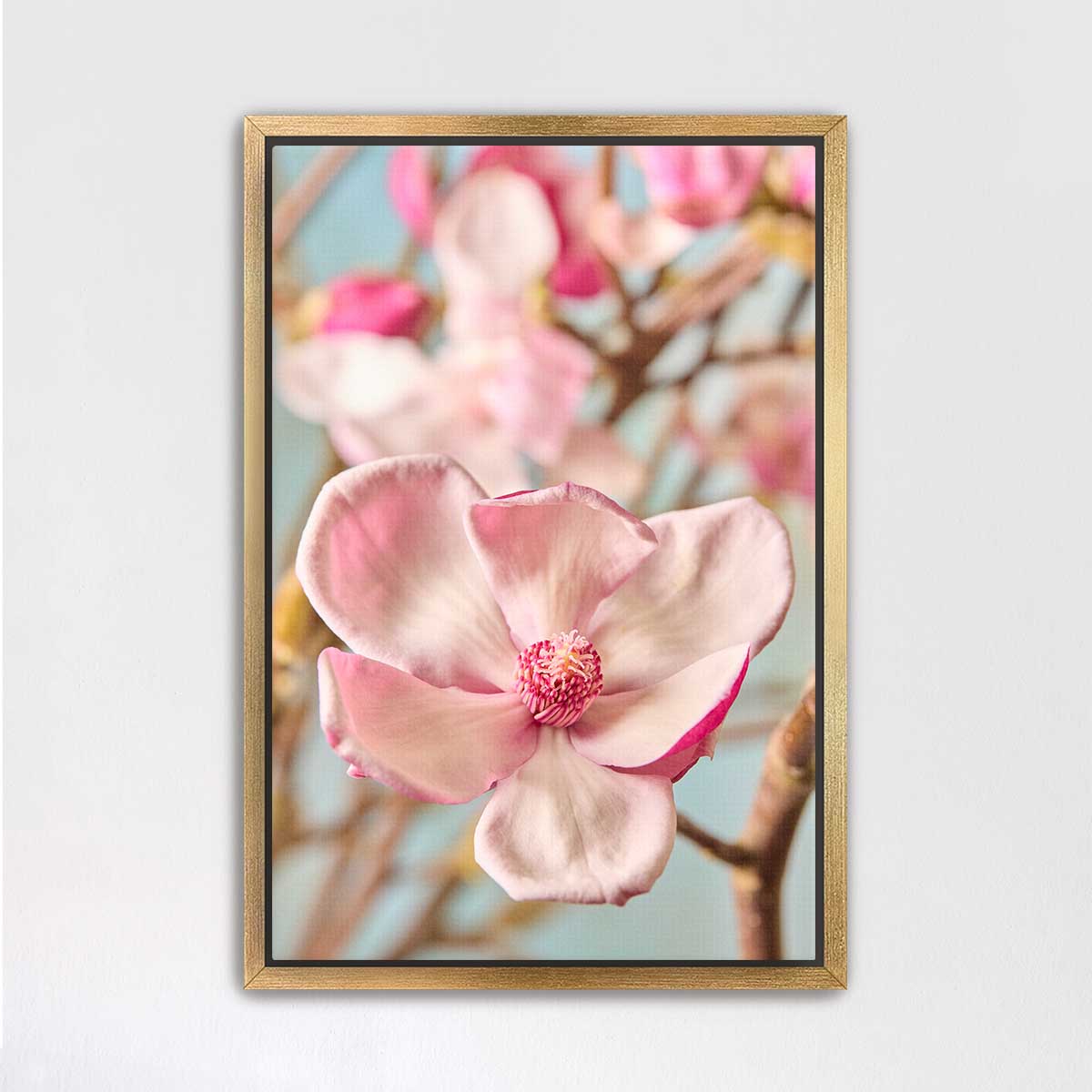 Gentle Radiance