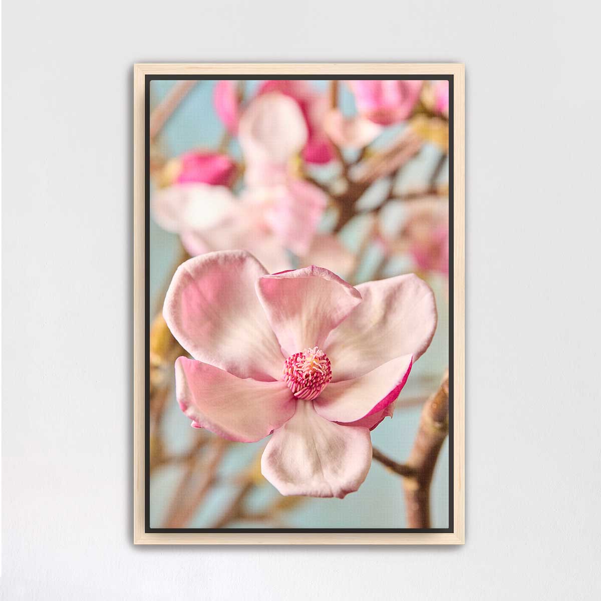 Gentle Radiance