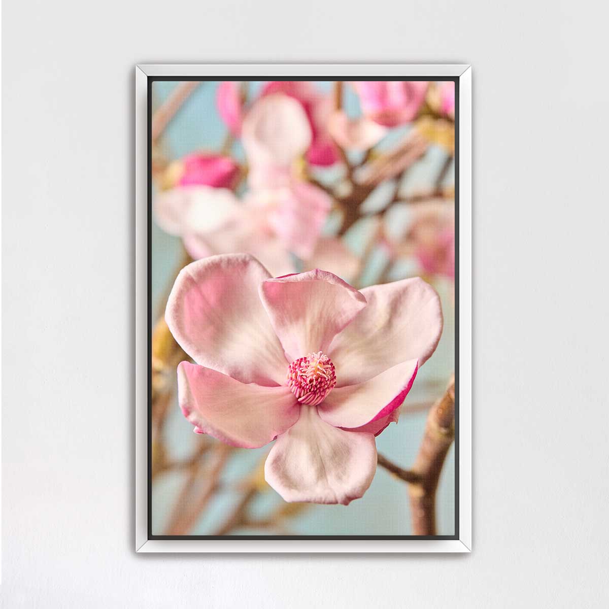Gentle Radiance