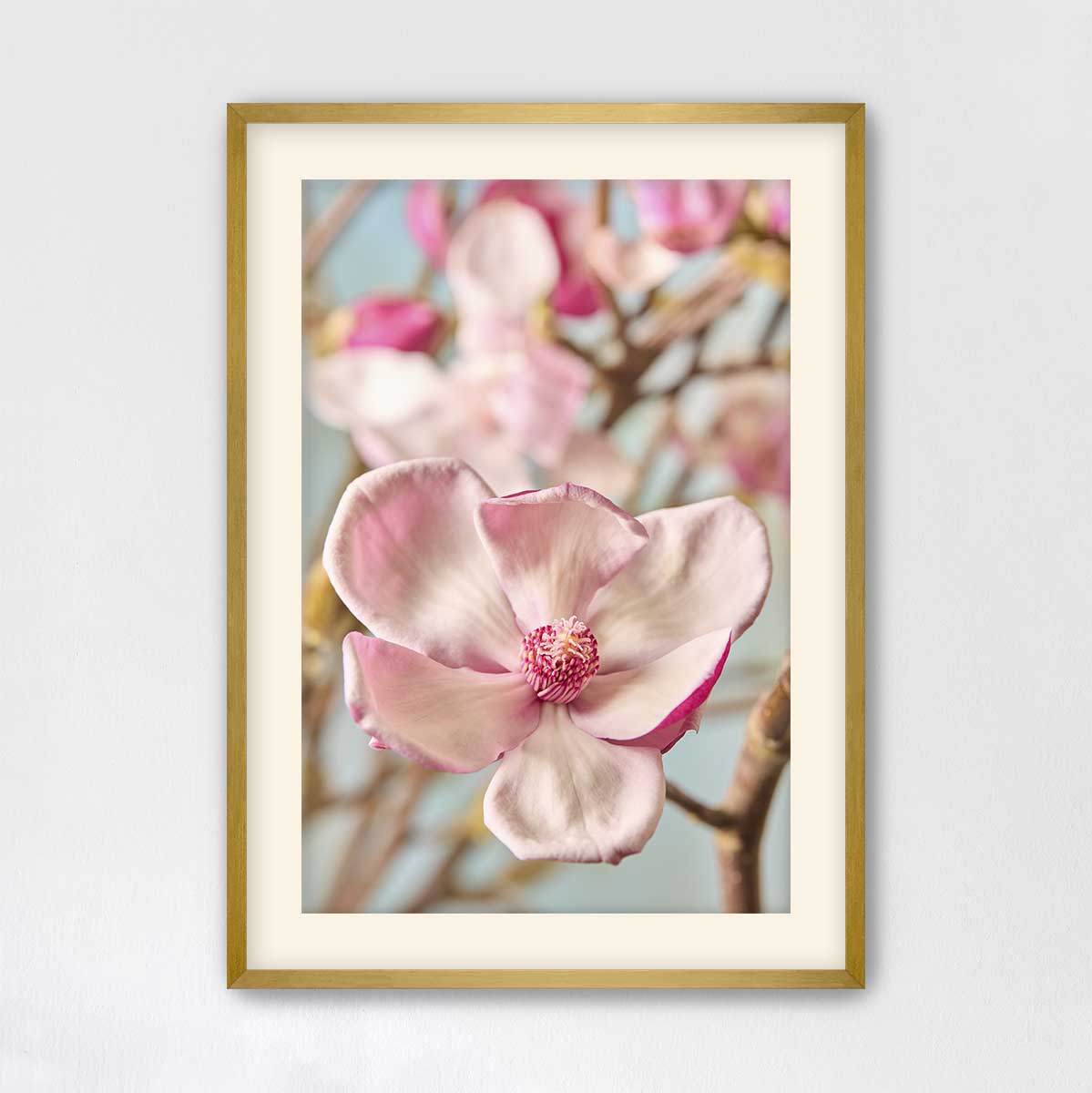 Gentle Radiance