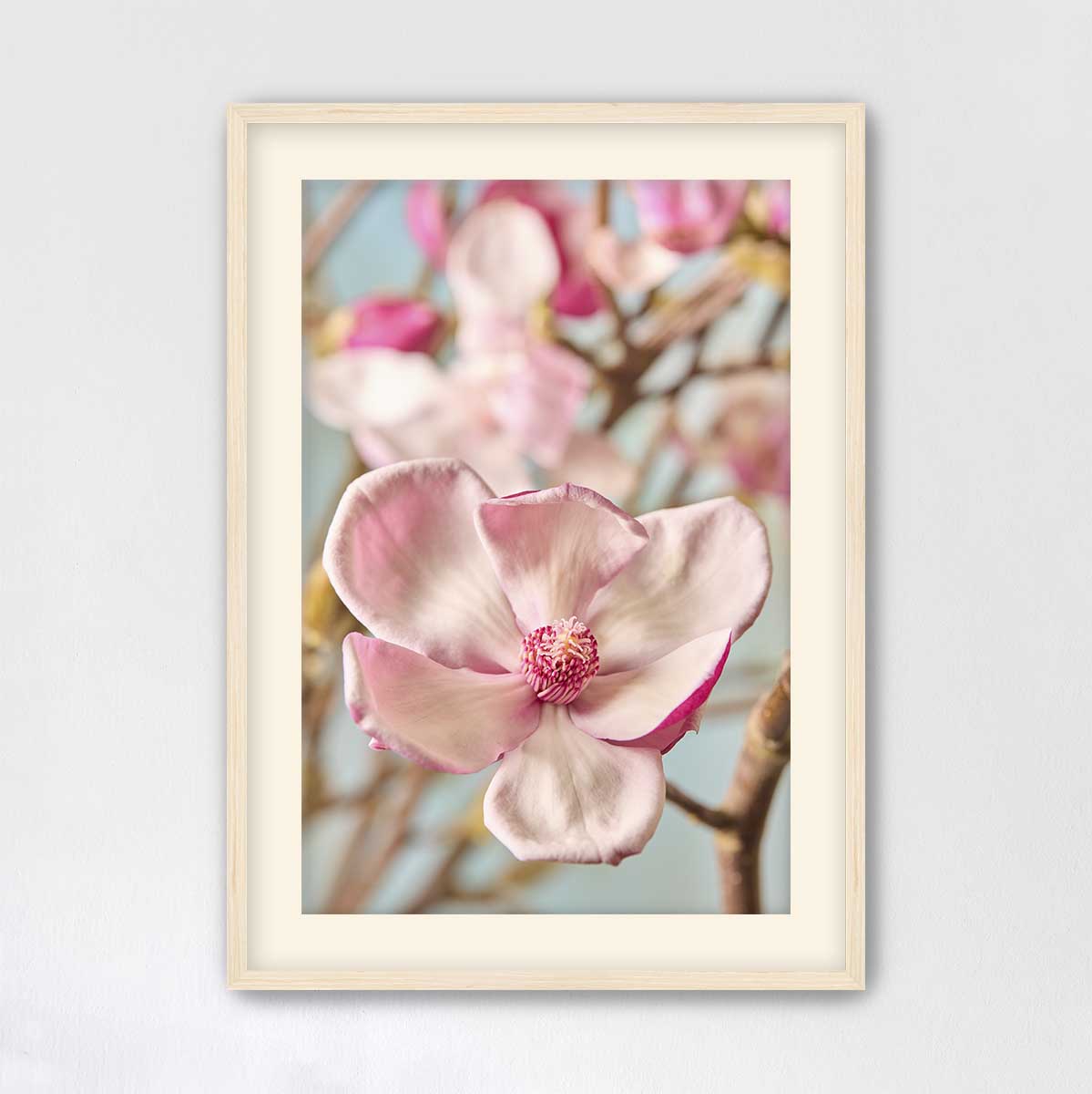 Gentle Radiance