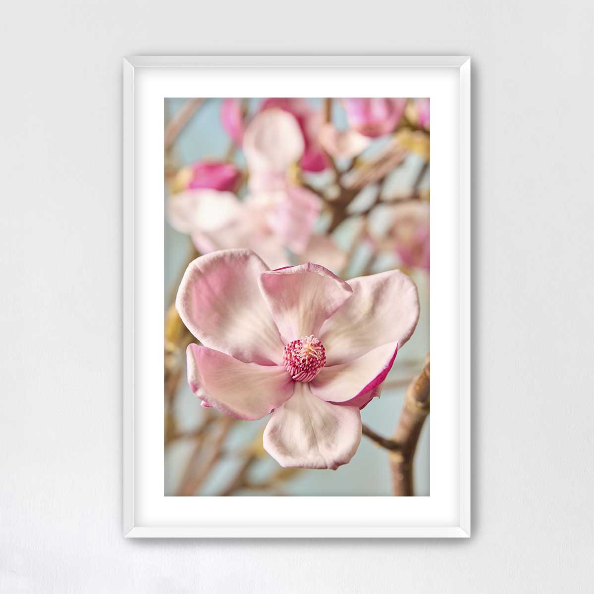 Gentle Radiance