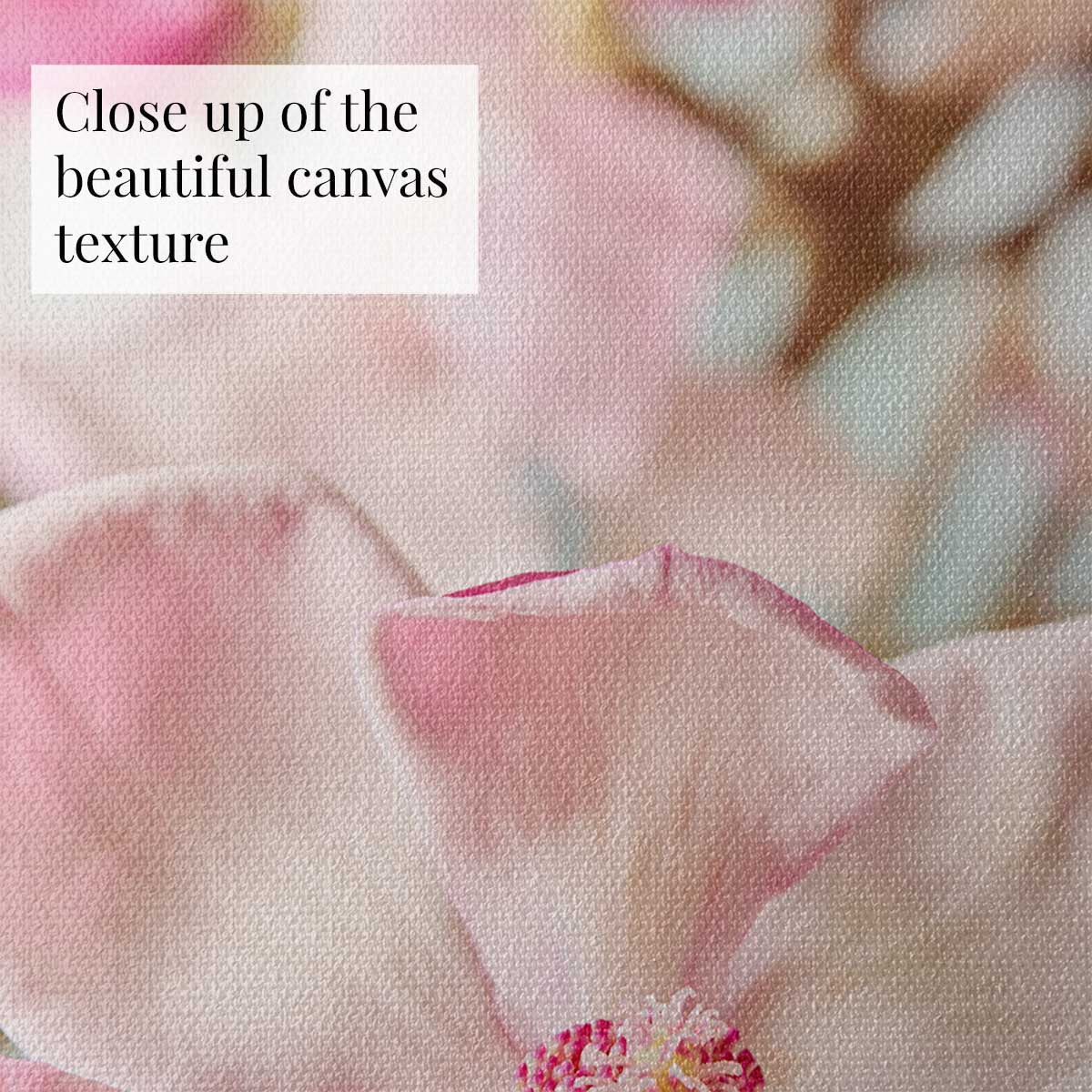 Gentle Radiance