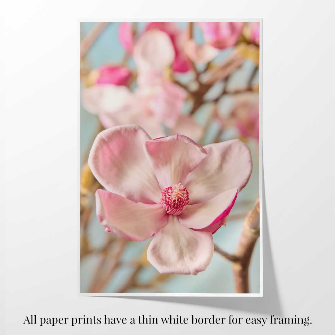 Gentle Radiance