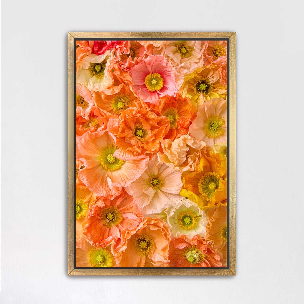The image is a vibrant and colorful collage of various flowers, including poppies, peonies, and other blooms, arranged in a visually appealing manner.