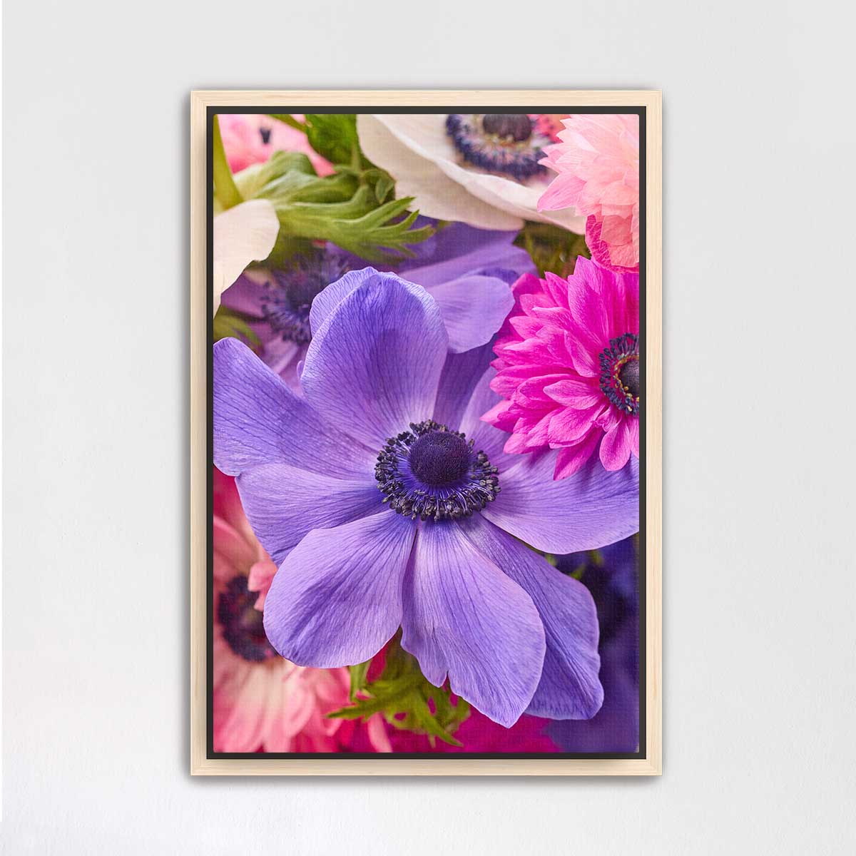 Blooming Companions