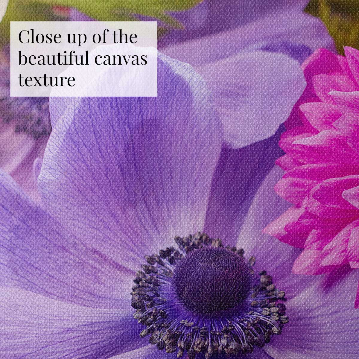 Blooming Companions