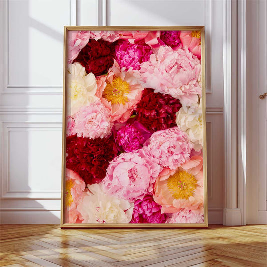 Peony Rhapsody
