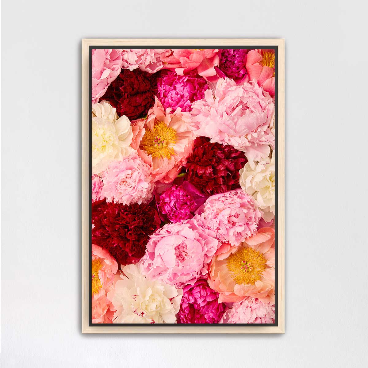 Peony Rhapsody