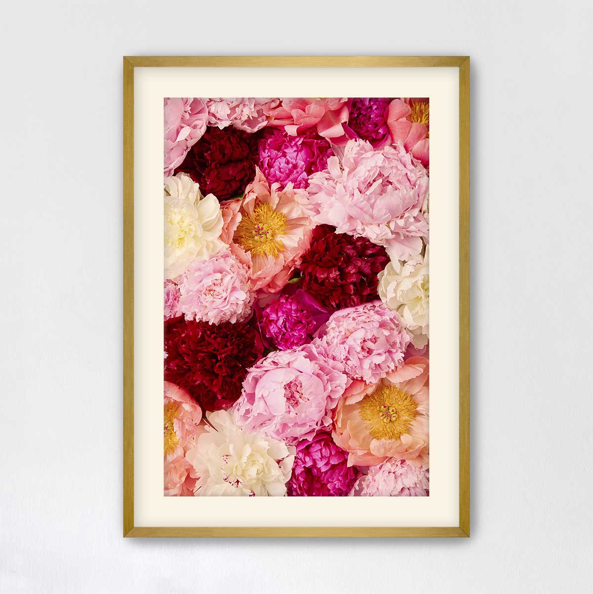 Peony Rhapsody