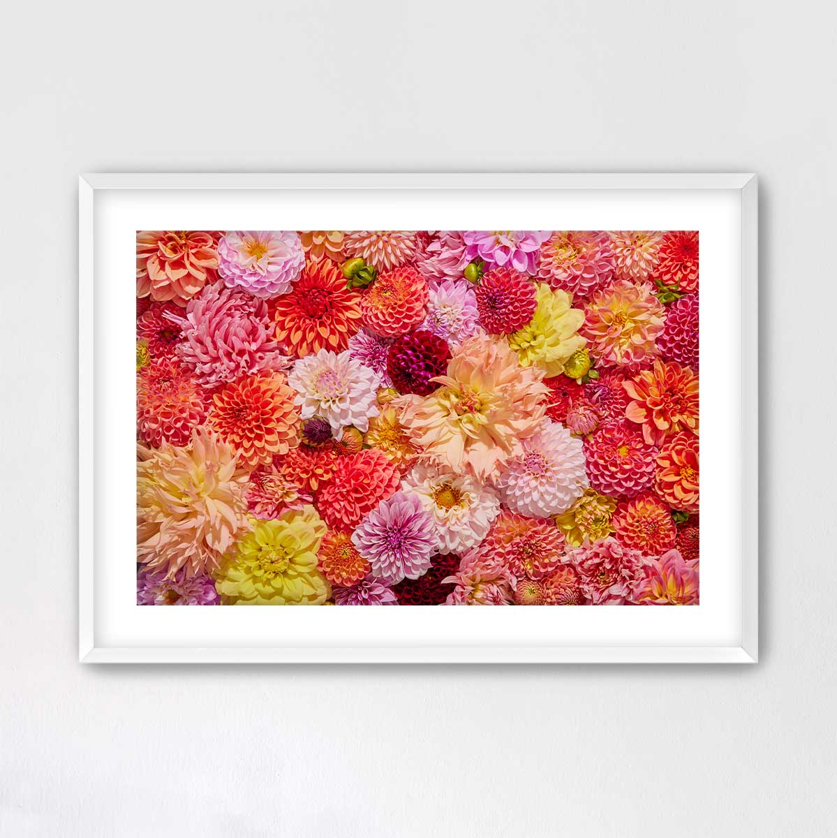 Blooming Radiance - Horizontal