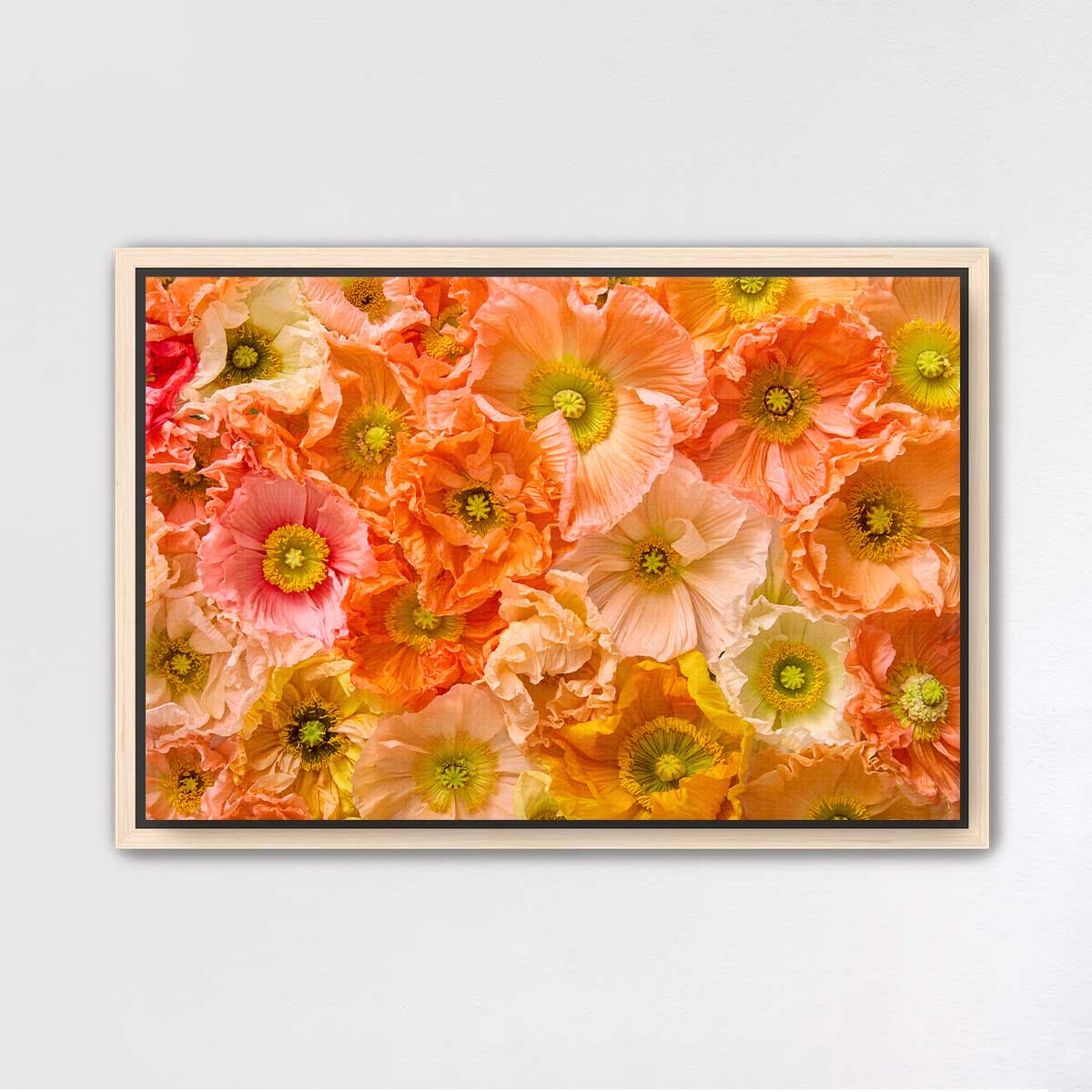 Petals of Light Horizontal Poppy Wall Art Canvas with overlapping blooms, gold wall art accents and visible petal veins