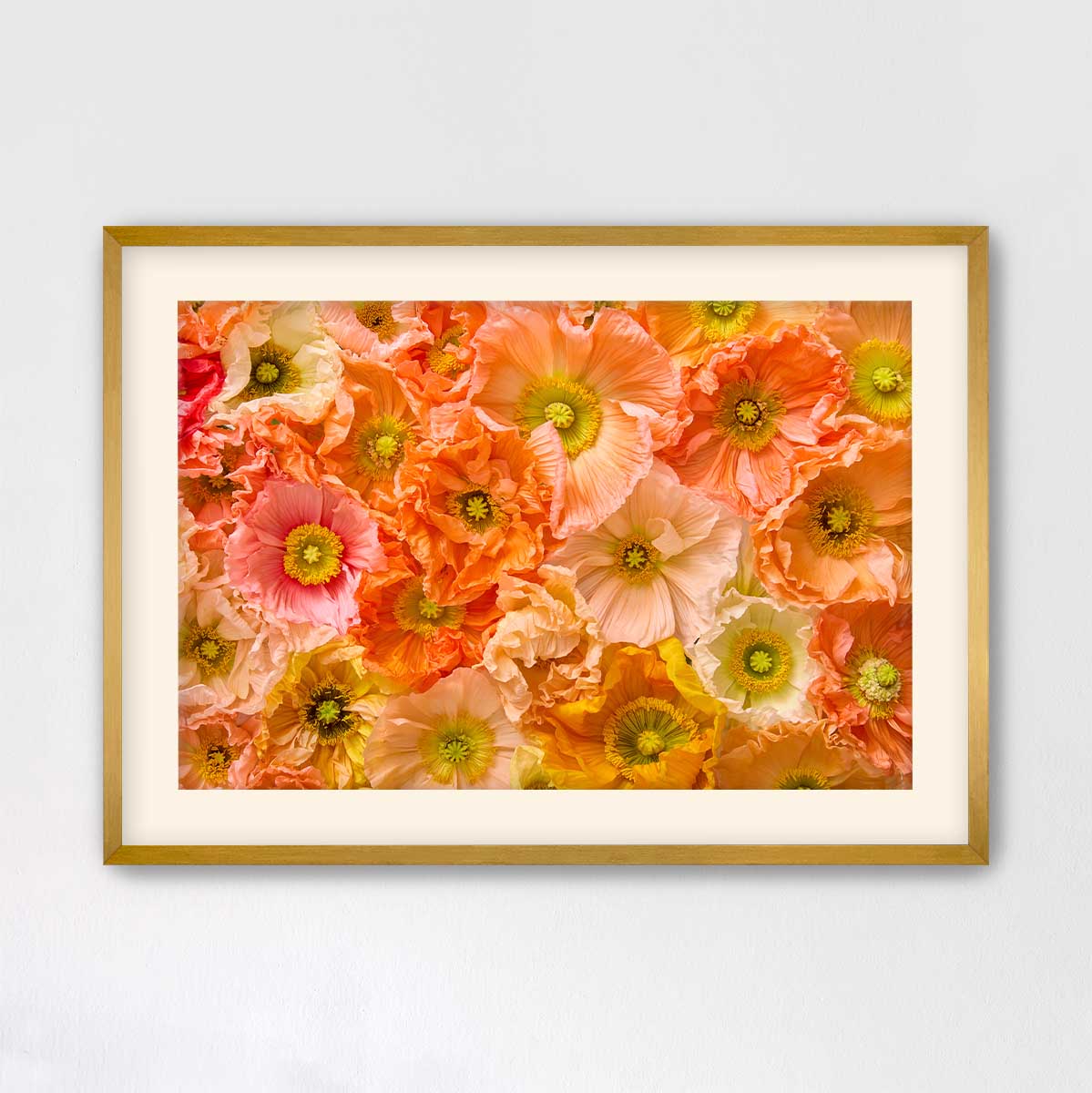 Petals of Light Horizontal Poppy Wall Art Print with orange and pink flowers, fine art paper texture