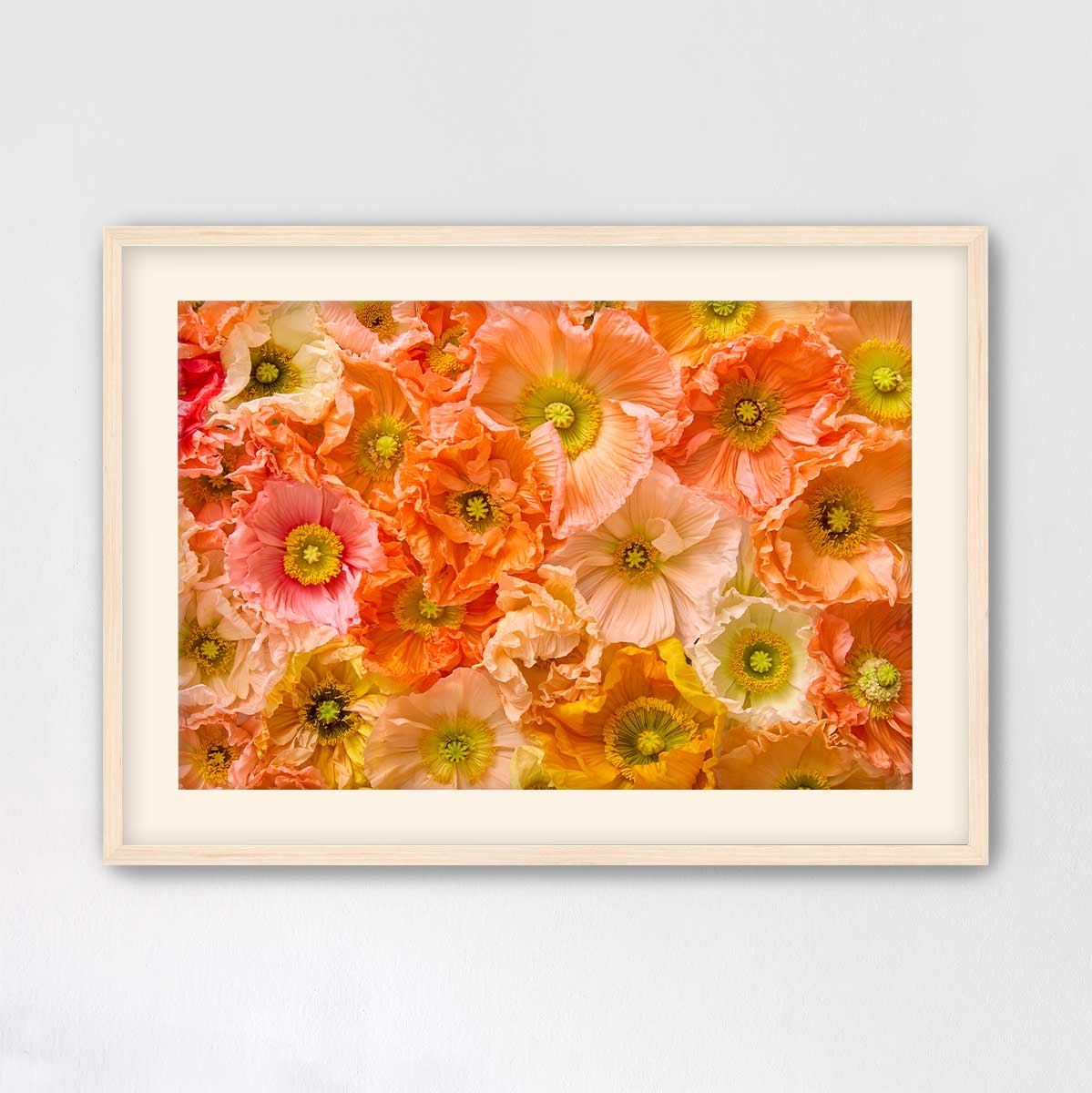 Petals of Light Horizontal Poppy Wall Art Print with warm orange and pink flower petals, gold accents