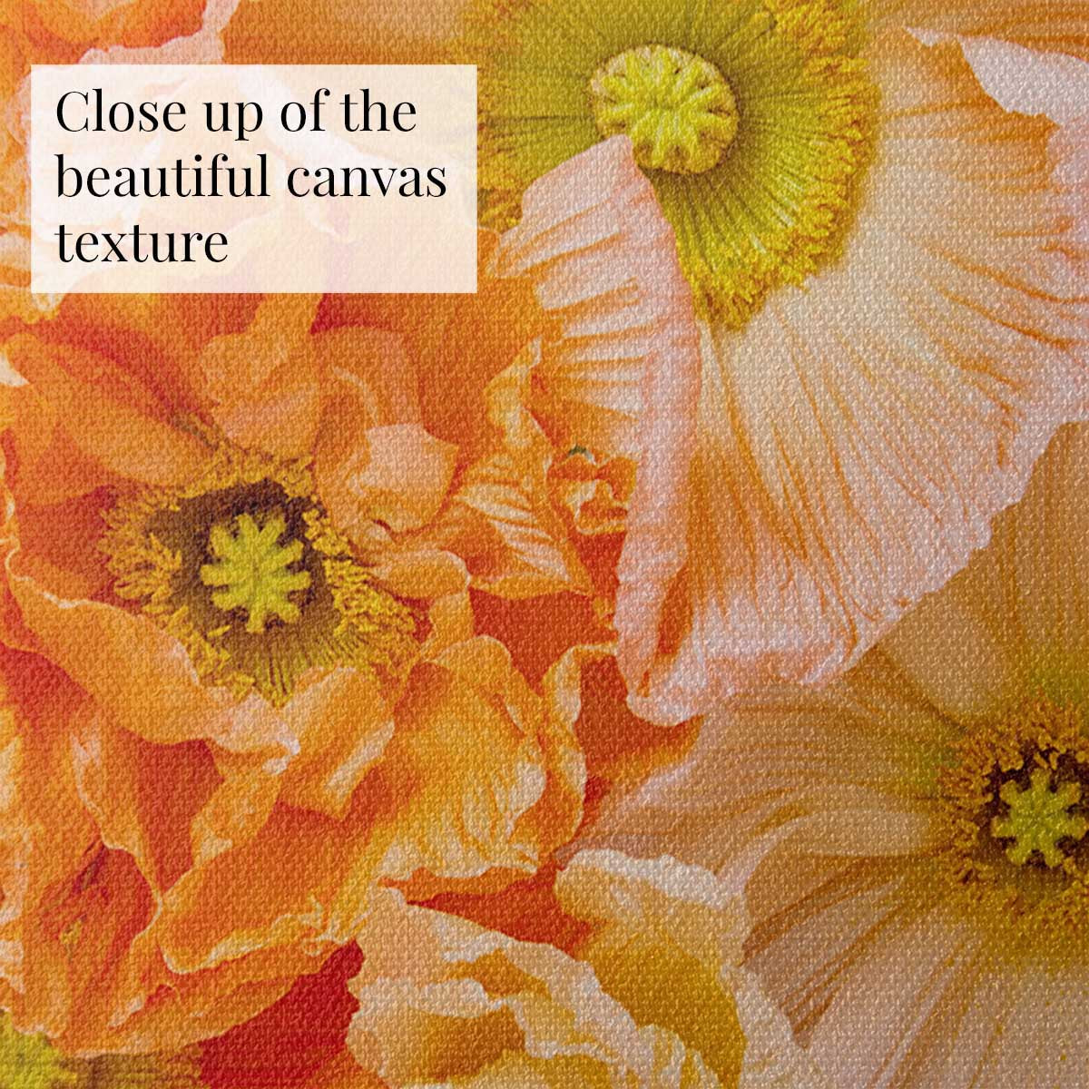 Petals of Light Poppy Wall Art Canvas in warm orange and cream with overlapping blooms and petal veins texture