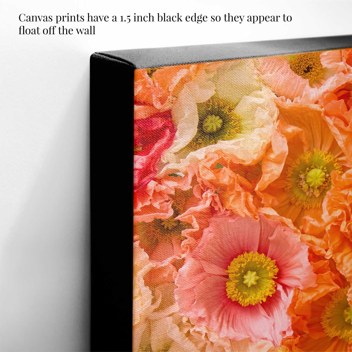 Petals of Light- Horizontal Poppy Wall Art Canvas with overlapping blooms, visible petal veins texture and wall art