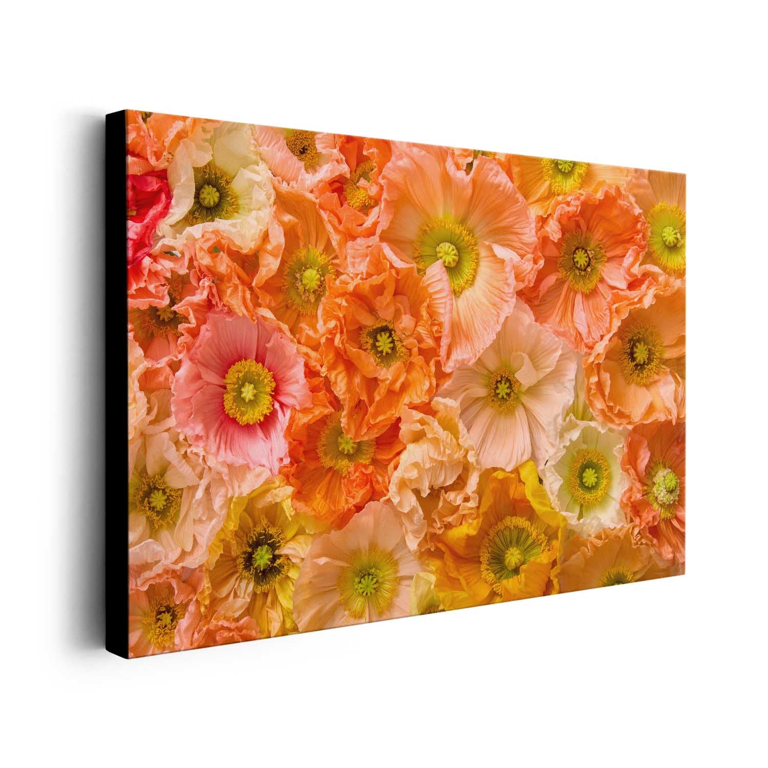 Petals of Light horizontal Poppy wall art canvas with overlapping orange and pink blooms and golden centers