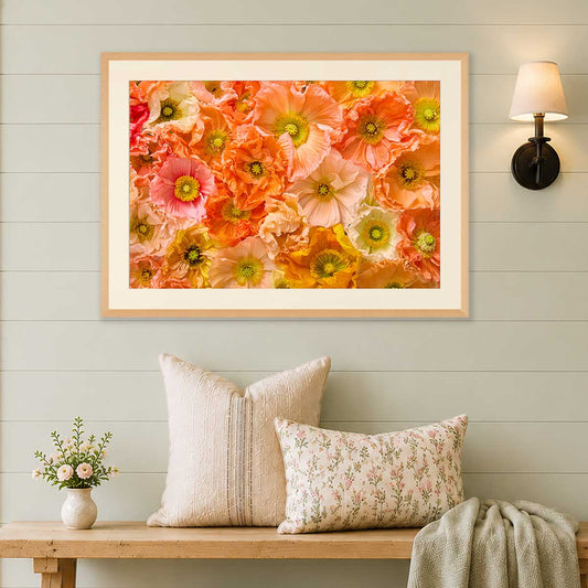 Petals of Light Horizontal Poppy Wall Art Print with gold accents and fine art paper texture