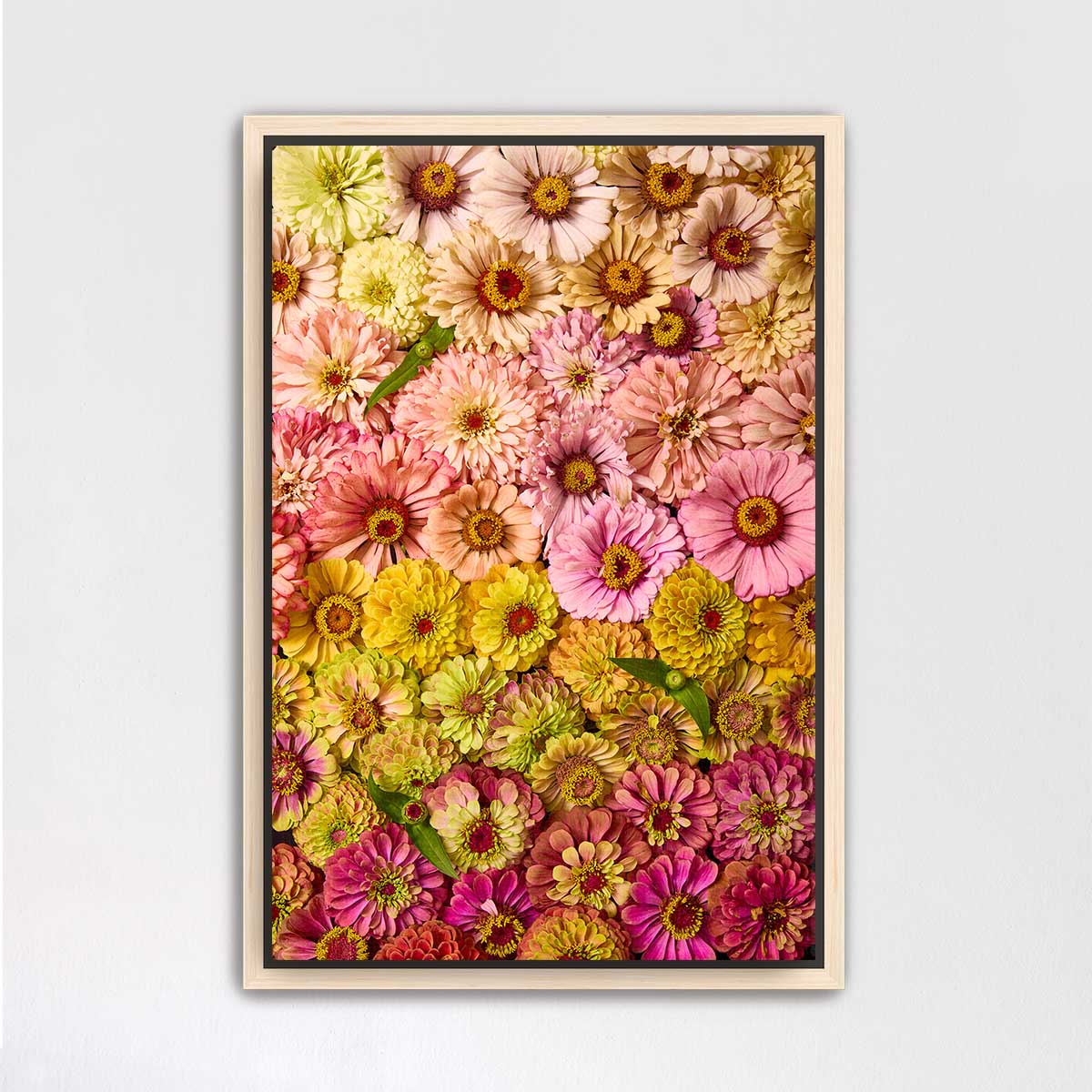 The image is a vibrant and colorful collage of various flowers, including daisies, roses, and lilies, arranged in a visually appealing manner.