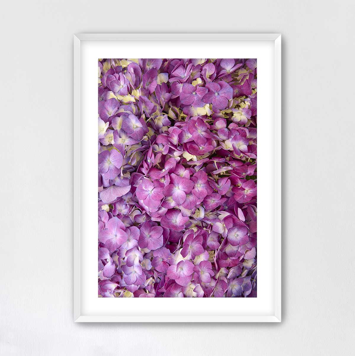The image is a framed photograph of a close-up view of a cluster of purple and yellow flowers.